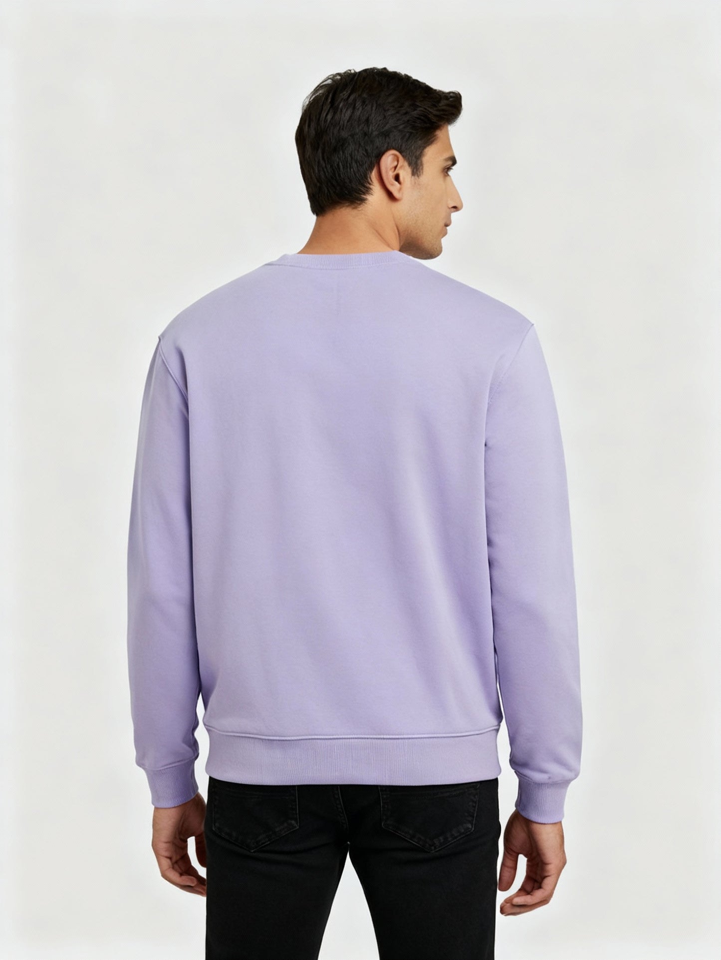 Men Regular Fit Sweatshirt Lavender