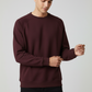 Men Regular Fit Sweatshirt Maroon