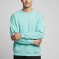 Men Regular Fit Sweatshirt Mint