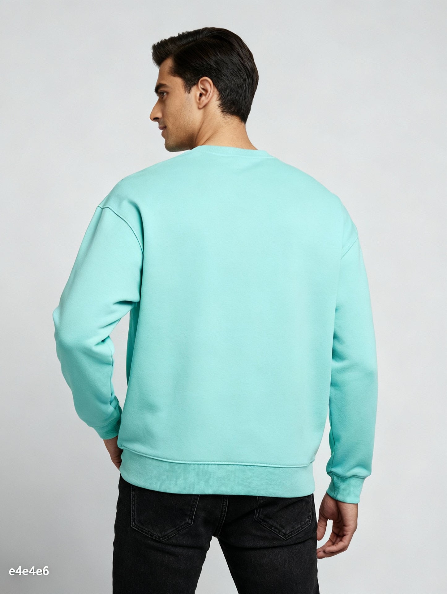 Men Regular Fit Sweatshirt Mint