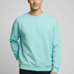 Men Regular Fit Sweatshirt Mint
