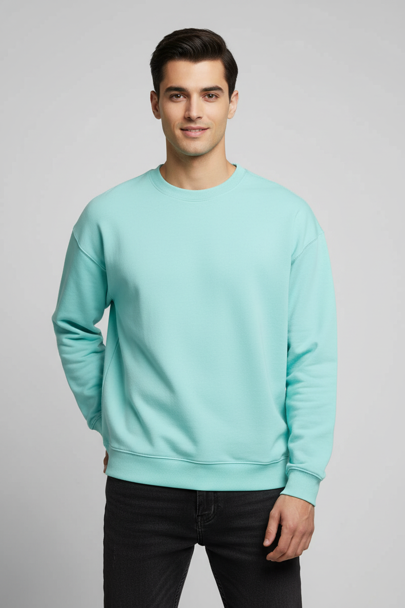Men Regular Fit Sweatshirt Mint