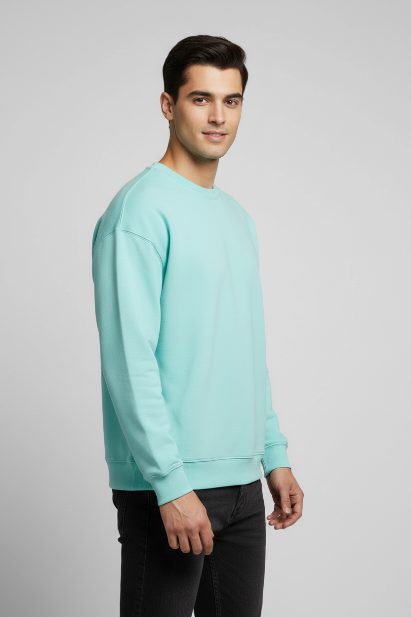 Men Regular Fit Sweatshirt Mint