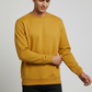Men Regular Fit Sweatshirt Yellow