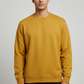 Men Regular Fit Sweatshirt Yellow