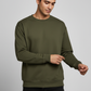 Men Regular Fit Sweatshirt Olive Green