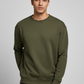 Men Regular Fit Sweatshirt Olive Green