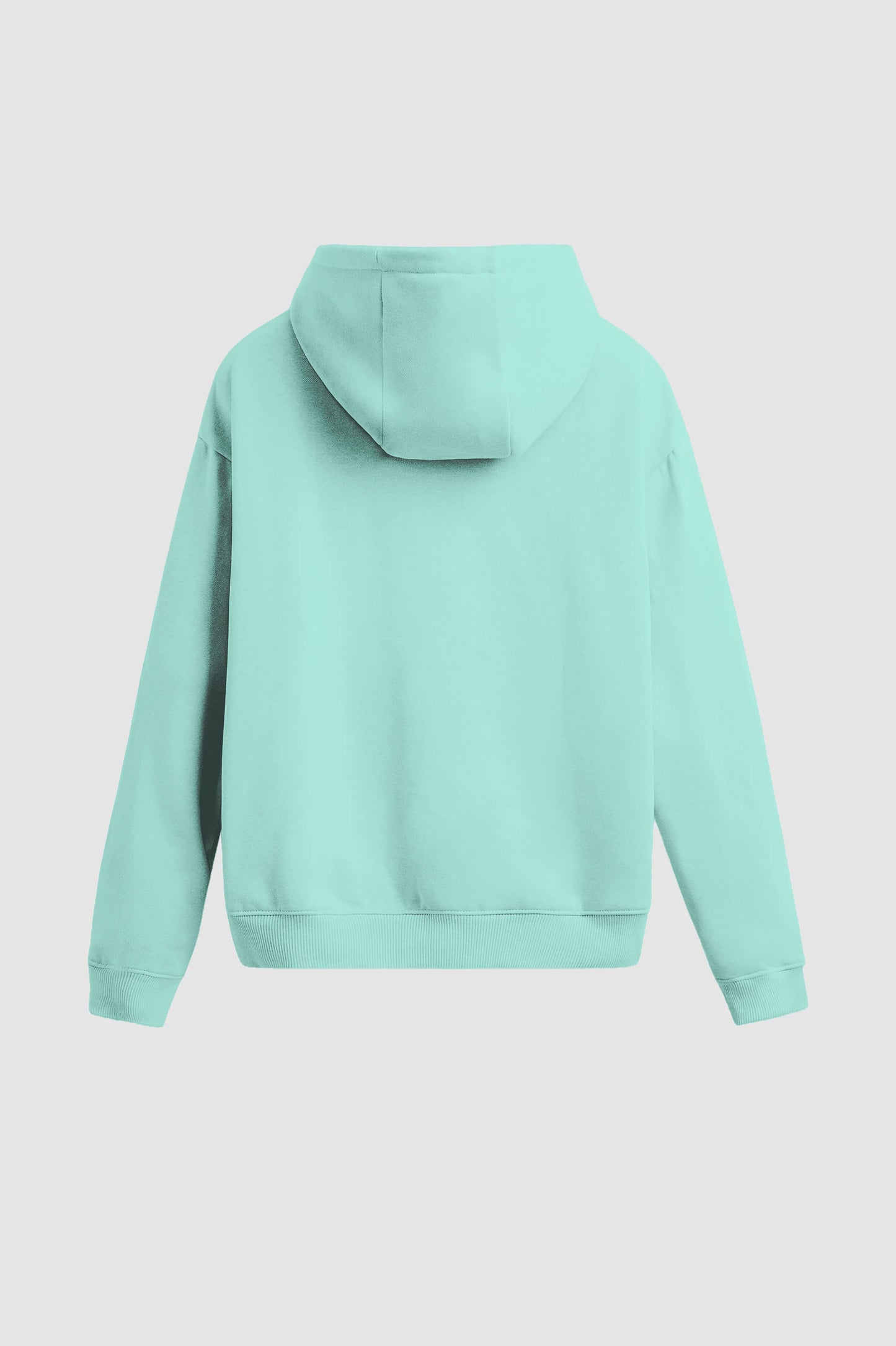 Men Regular Fit Hoodie Mint